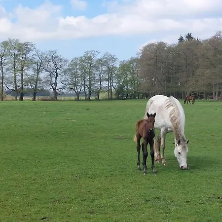 Villa Refugium Worpswede