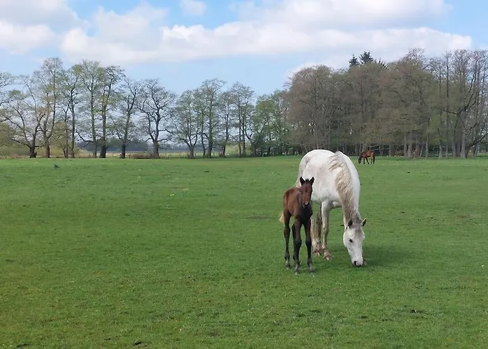 Villa Refugium Worpswede